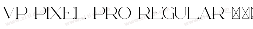 VP Pixel Pro Regular字体转换